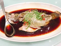 -新吉士·上海菜(浦东LCM置汇旭辉店)