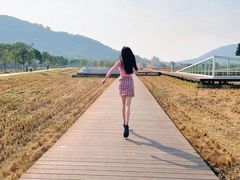 -艾米稻香小镇