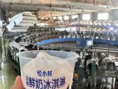-君乐宝优致牧场