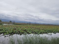 -野鸭湖国家湿地公园