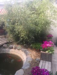 点击看大图 -爱儿美儿童摄影(朝阳公园店)