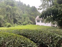 -敬亭山风景名胜区