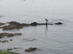 -银沙滩浴场