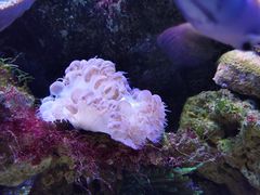 -大连老虎滩海洋公园