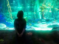 -沈阳海洋探索中心