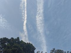 -深圳湾公园(南山区)