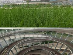 -梅溪湖城市岛