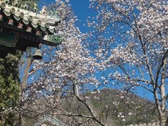 -潭柘寺景区