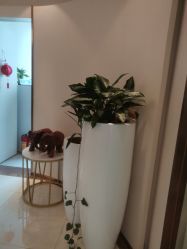 -丽美妍医疗美容·皮秒·立体分层抗衰