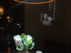 -探窝·竹笙椰子鸡(杨箕店)