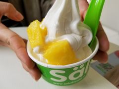 -Salud撒露欧洲冻酸奶(798艺术区店)