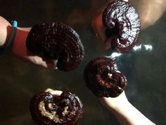 -仁爱团泊湖温泉中心