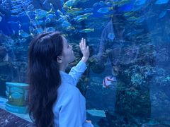 -海合安成都极地海洋公园