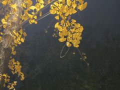 -脚下咖啡·CHILL酒馆(灵光东巷店)