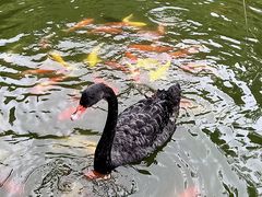 -青青世界