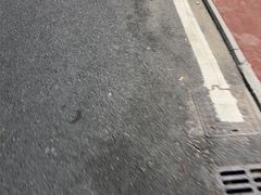 -金海湾海鲜排档(朱家尖店)