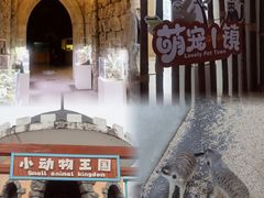 -海合安武汉极地海洋公园