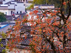 -塔川景区