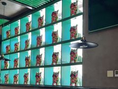 -吕氏疙瘩汤·私家菜馆(慈云寺店)