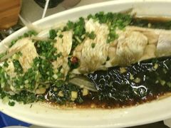 清蒸白鱼-宾湖农庄·农场特色(太湖龙之梦店)