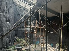 -武汉动物园