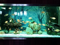 -秦皇岛新澳海底世界