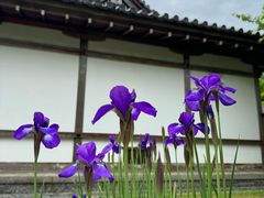 -三千院