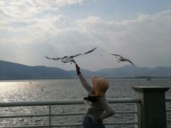 -滇池海埂公园