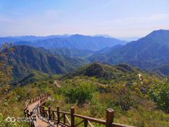 -大岭沟猕猴桃谷风景区