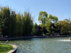 -翠湖公园