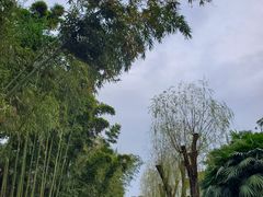 -房湖公园