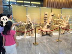 -中国沉香文化博物馆