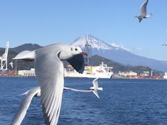 -富士山吉田線五合目
