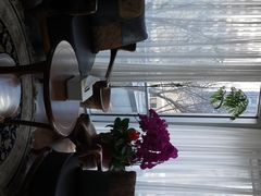 -精德口腔·种植修复·儿牙中心(财富中心店)