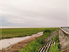 -南汇嘴观海公园