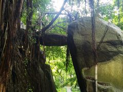 -乌山风景区