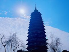 -红梅公园