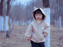 -丁香湖公园