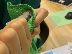 -雨林宠物医院 非犬猫异宠专科
