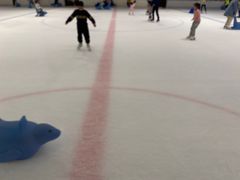 -TheRink大零溜冰场(IFS国金中心店)