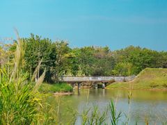 -福田红树林生态公园