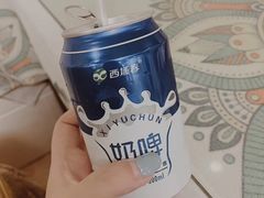 -新疆红柳花餐厅(新洲店)