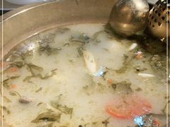 -土著渔匠·养生蝴蝶鱼(香樟路店)