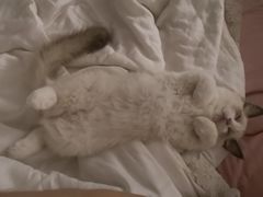 -嘎嘎鸭下巴·爆辣干锅(明教寺店)