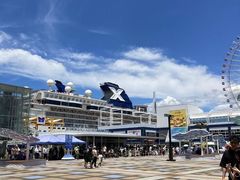 -大阪海游馆