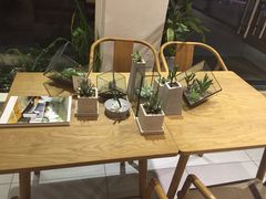 -柴务处·柴犬主题狗咖