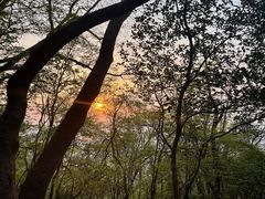 -紫金山山顶公园