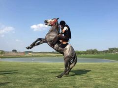 -龙湖东院农庄(乡间小路店)