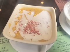 -南信牛奶甜品专家