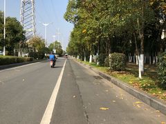 -艾溪湖湿地公园